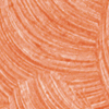 511 F